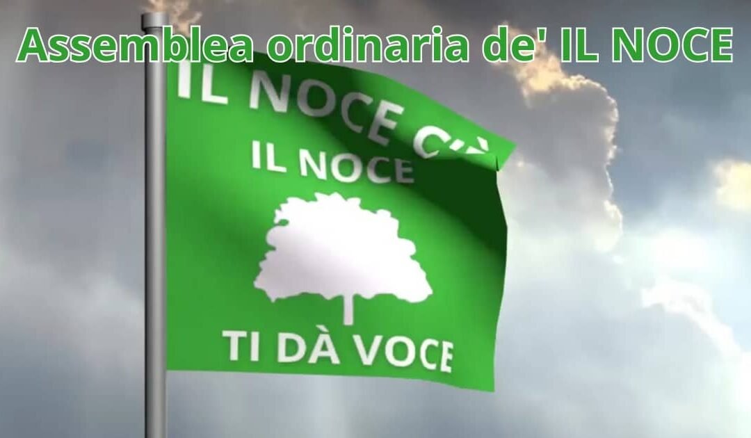 Assemblea ordinaria de’ IL NOCE