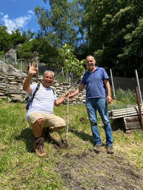 Il noce in quota Il noce in quota